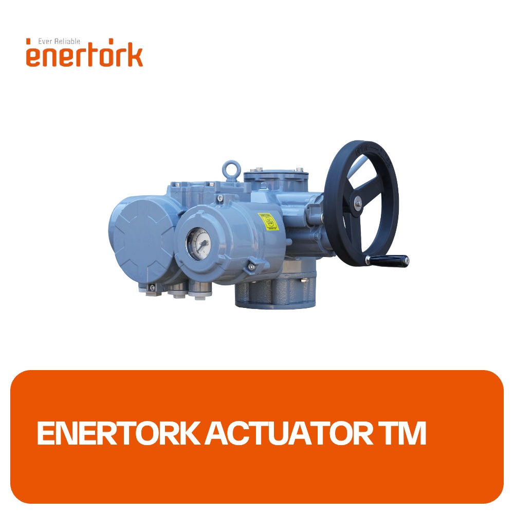 Enertork Actuator TM