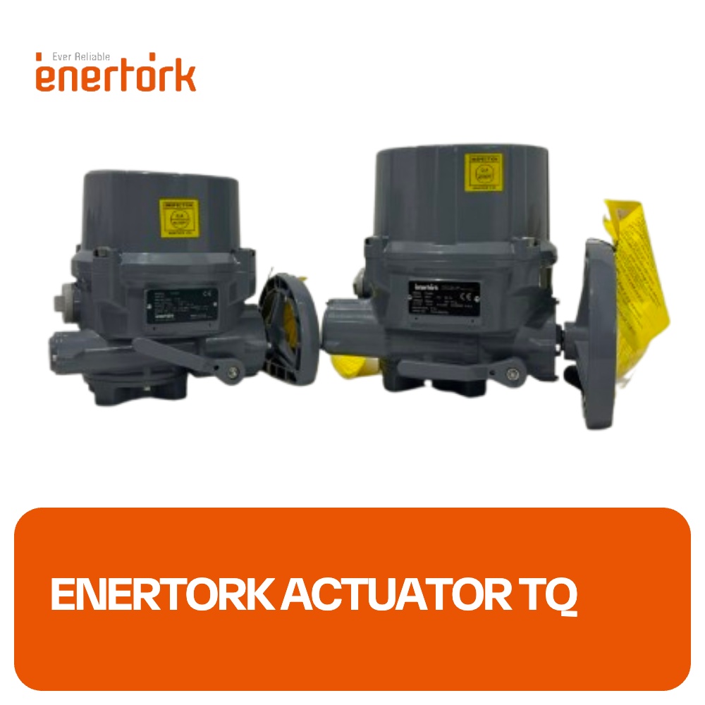 Enertork Actuator TQ