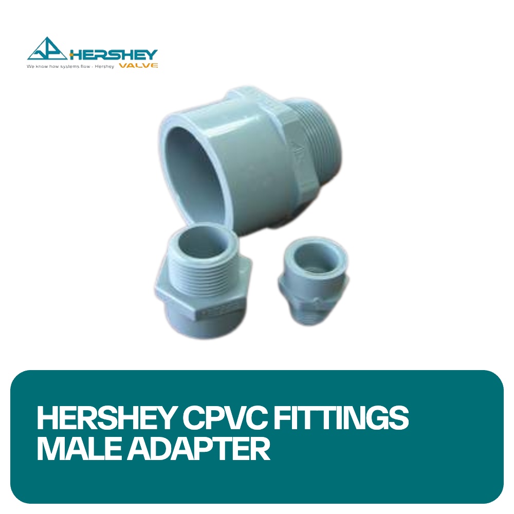 Hershey CPVC Fittings Male Adapter